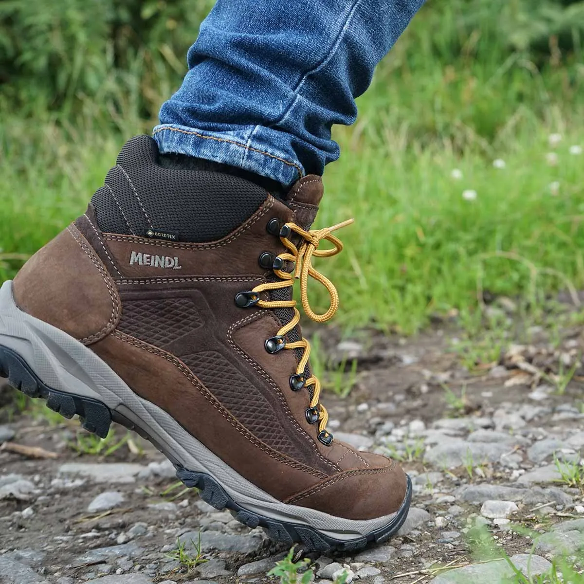 Baltimore GTX - Chestnut