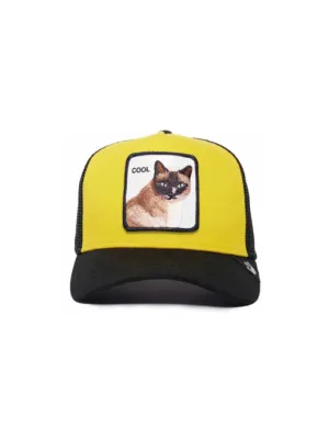 Cool Cat - Gold