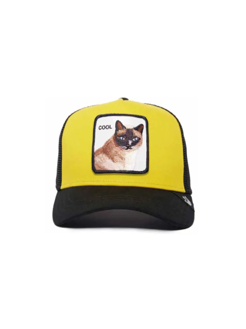 Cool Cat - Gold