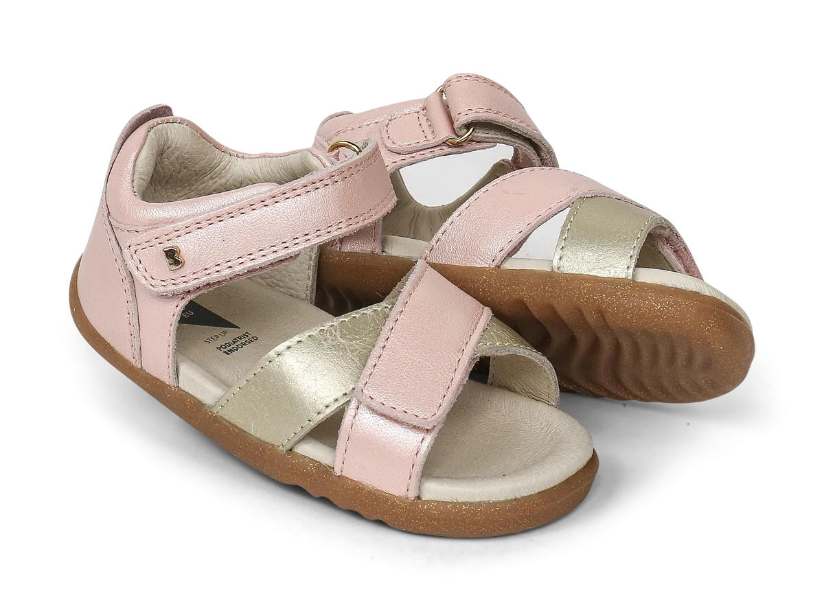 SU Sail Seashell   Gold