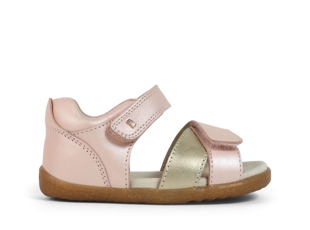 SU Sail Seashell   Gold